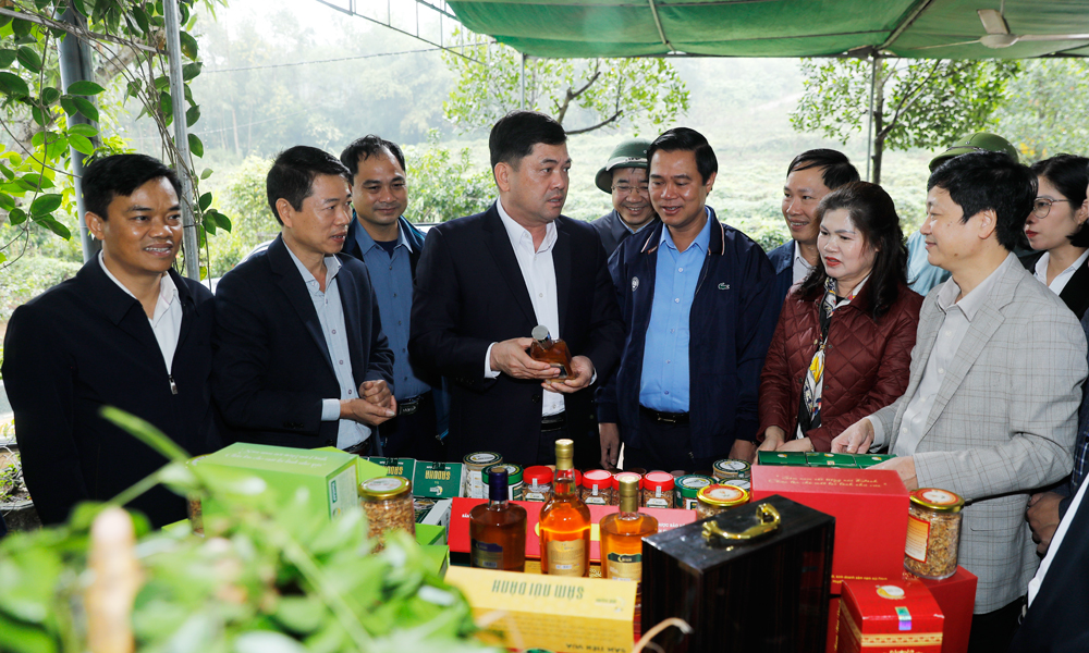 
Đồng chí Nguyễn Hồng Thái cùng đoàn công tác tham quan gian trưng bày các sản phẩm chế biến từ sâm núi Dành tại Hợp tác xã Sâm núi Dành Đức Hạnh, thôn Hậu, xã Phúc Hòa.